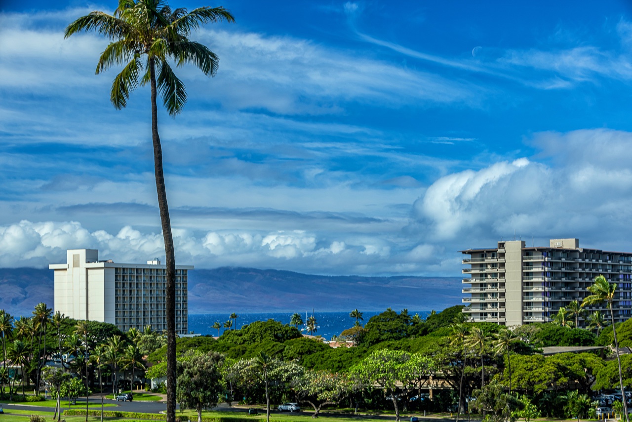 A peaceful coastal neighborhood framed by swaying palms and lush tropical greenery, with neighboring resort buildings and the sparkling ocean just beyond.