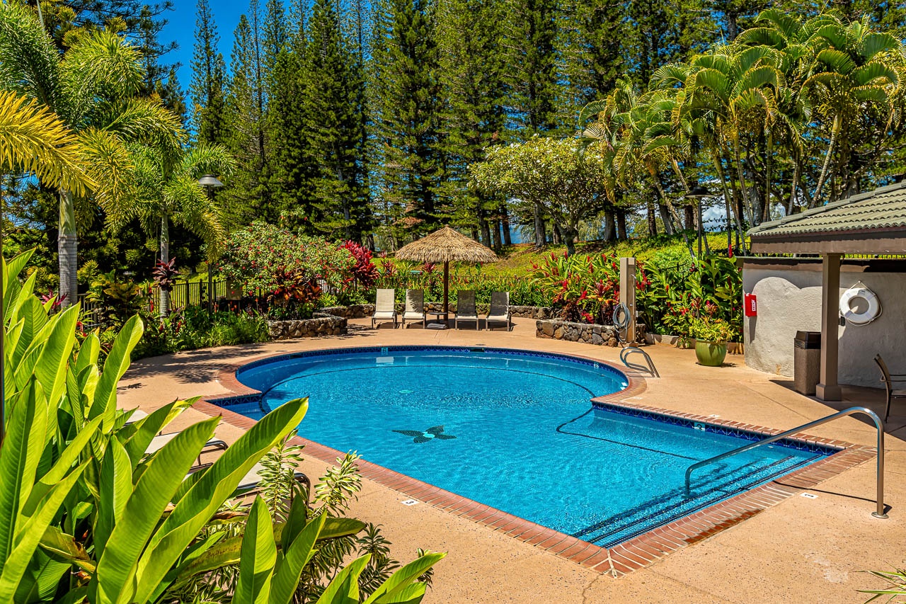 Sparkling pool surrounded by lush tropical gardens and towering pines invites you to unwind under sunny skies. Lounge chairs and thatched shade offer your perfect spot.