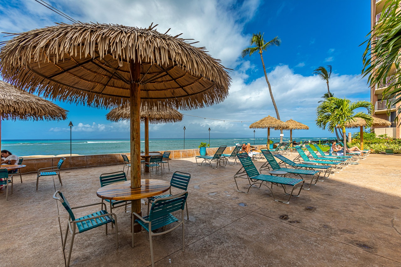 Relax under thatched palapas on the oceanfront patio, where turquoise loungers await and palm trees sway above the sparkling sea. The perfect spot to soak up the sun and listen to the waves.