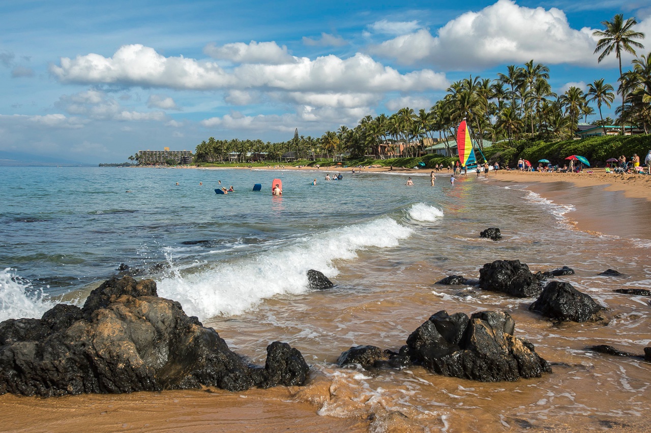 Beautiful sandy beach bordered by swaying palm trees, with gentle waves rolling over volcanic rocks and calm waters stretching to the horizon under a bright tropical sky.