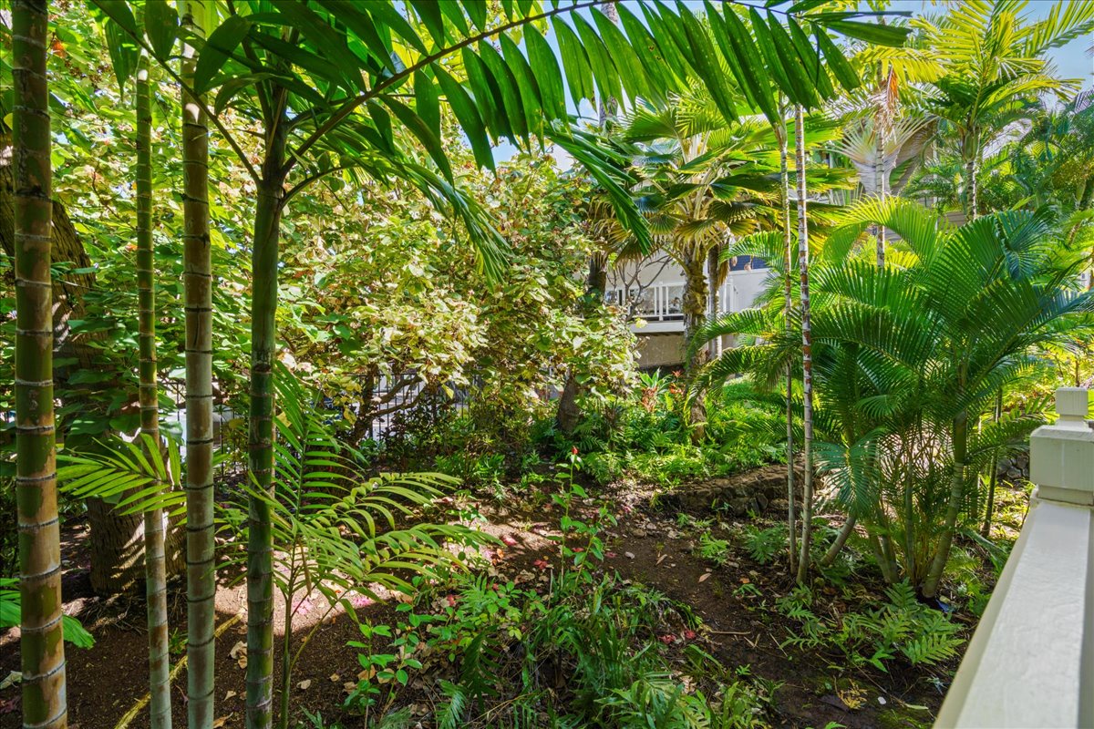 Outdoor dining on the lanai with tranquil tropical surroundings