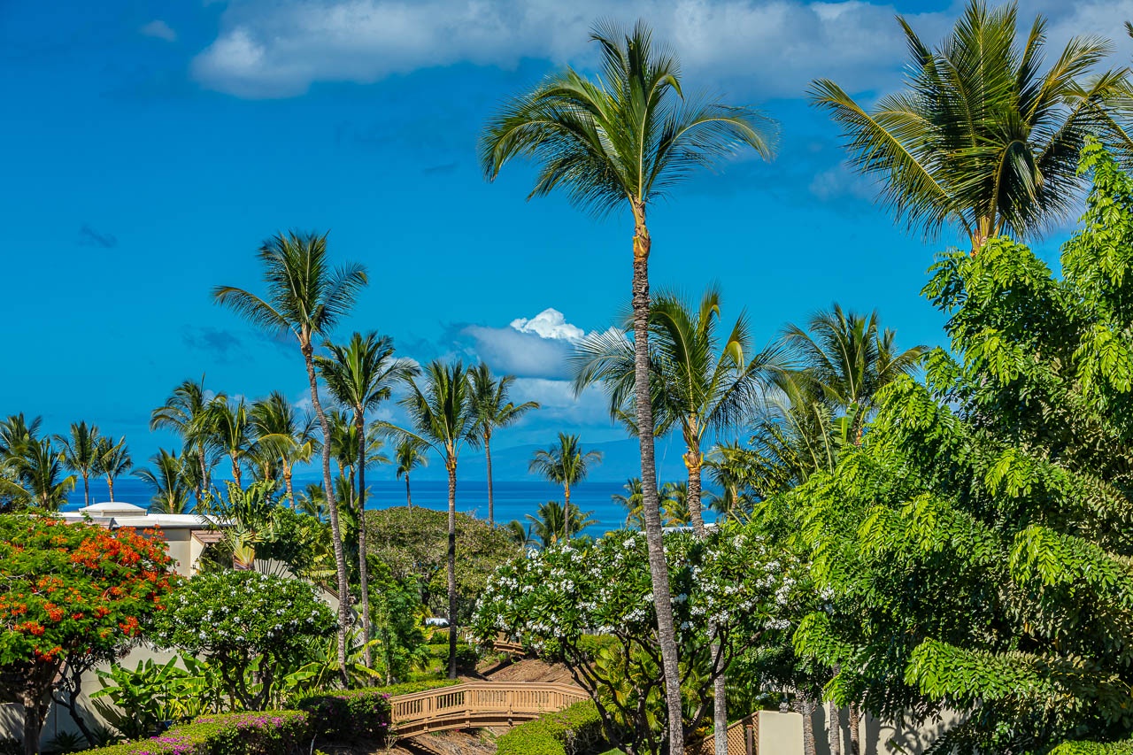 Palm trees and ocean view to go into your vacation mode.
