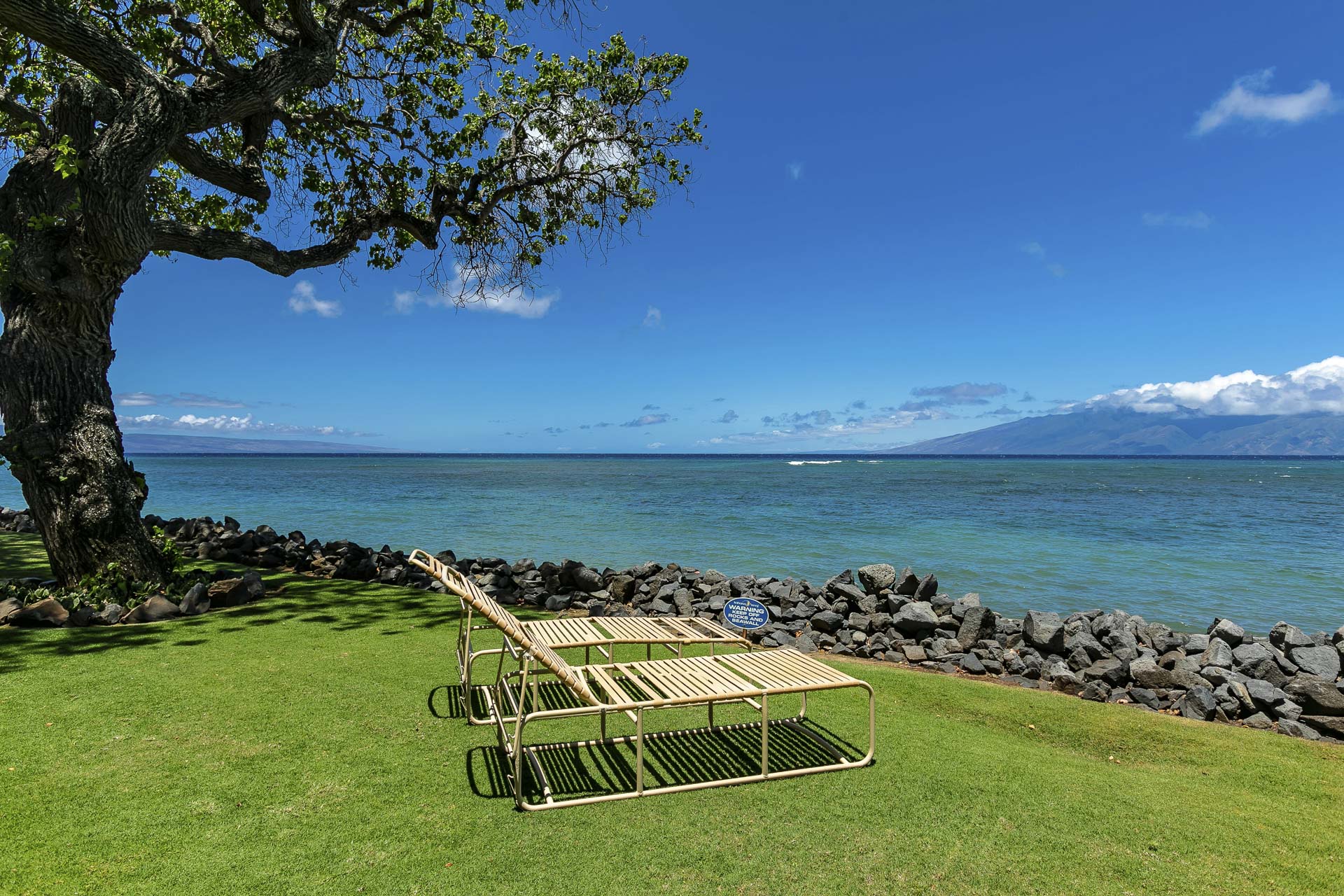 Two lounge chairs rest on lush lawn beneath a shady tree, facing turquoise waters and mountain vistas—a perfect spot to unwind and soak in the serene coastal beauty.