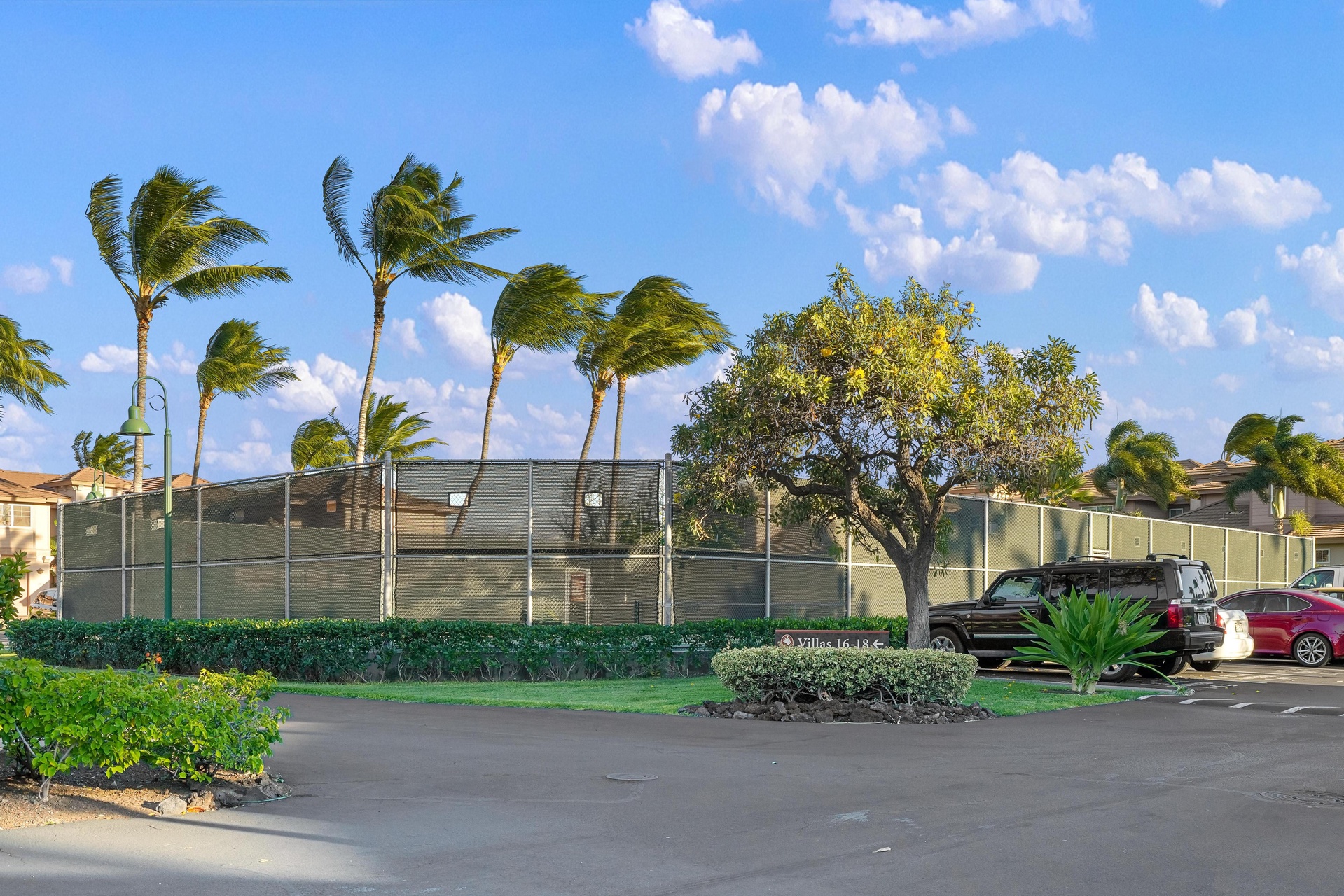 Palm-lined tennis court facility with tropical landscaping and convenient parking in a resort-style setting.