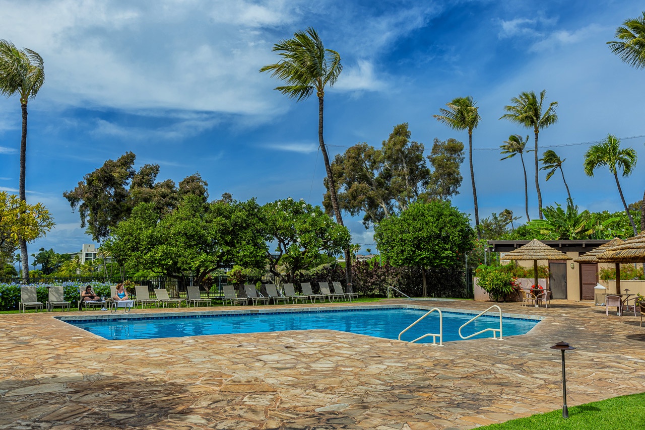 A sparkling pool surrounded by swaying palms and sun loungers invites you to unwind under blue skies.