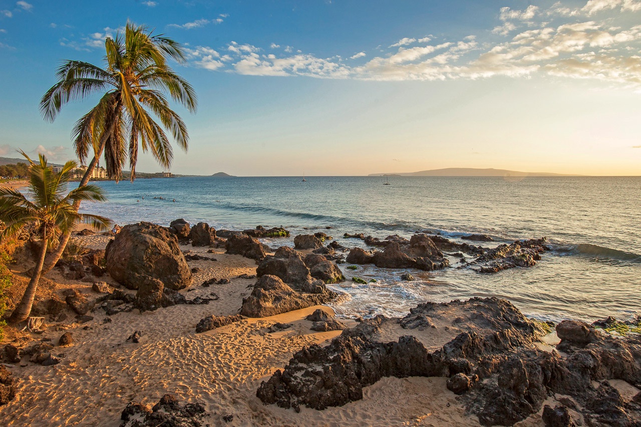 Tropical beach paradise with golden sand, swaying palms, and volcanic rocks creating a stunning coastal landscape.
