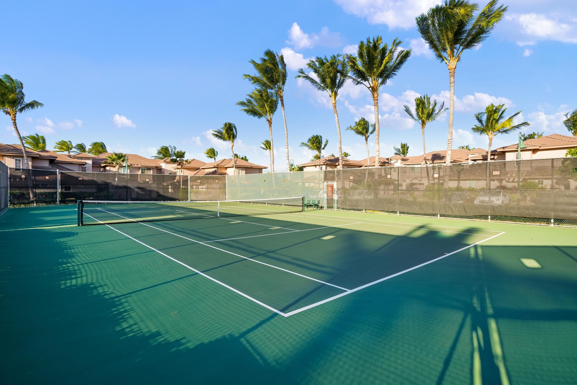 Enjoy playing tennis