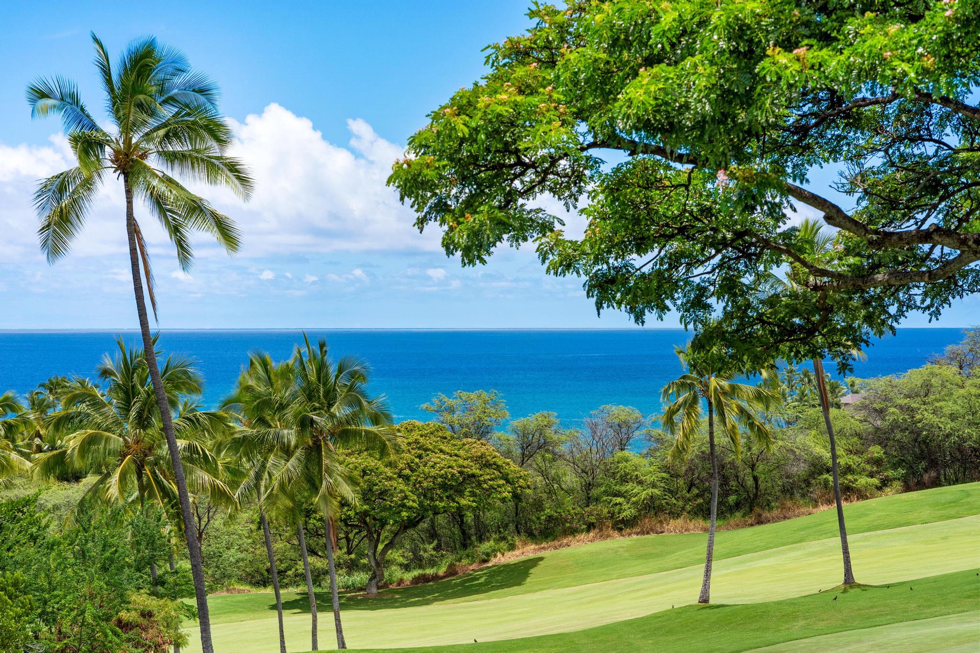 Pristine golf course with tropical palms overlooks turquoise ocean waters under sunny Hawaiian skies.