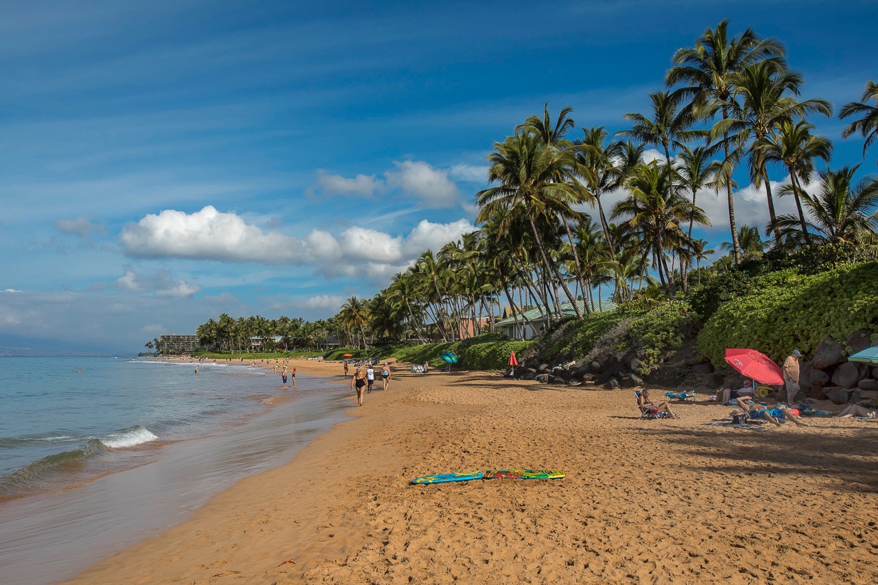 Sandy beachfront lined with swaying palms offers a peaceful coastal retreat just steps from the property.
