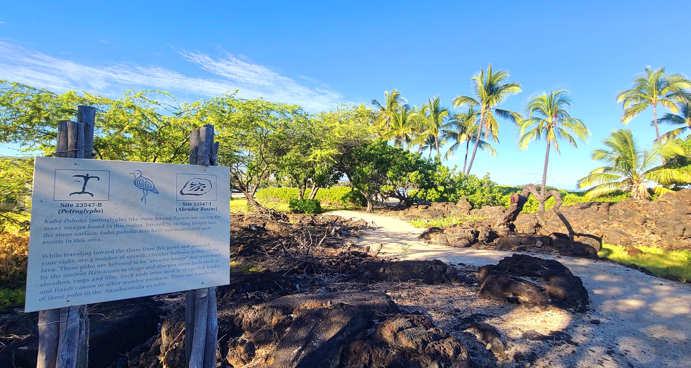 Paradise is calling from the nearby beach