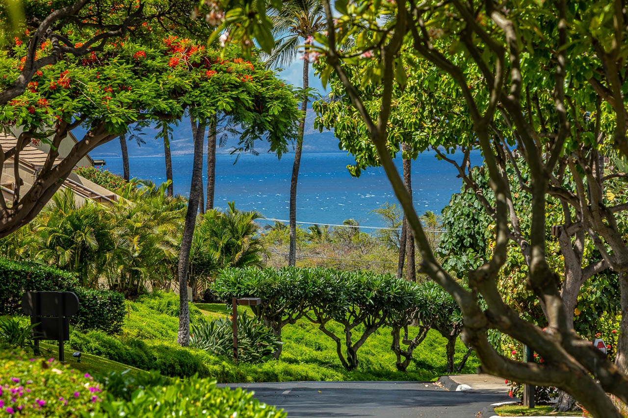 Lush tropical gardens frame stunning ocean views through swaying palms and vibrant flowering trees.