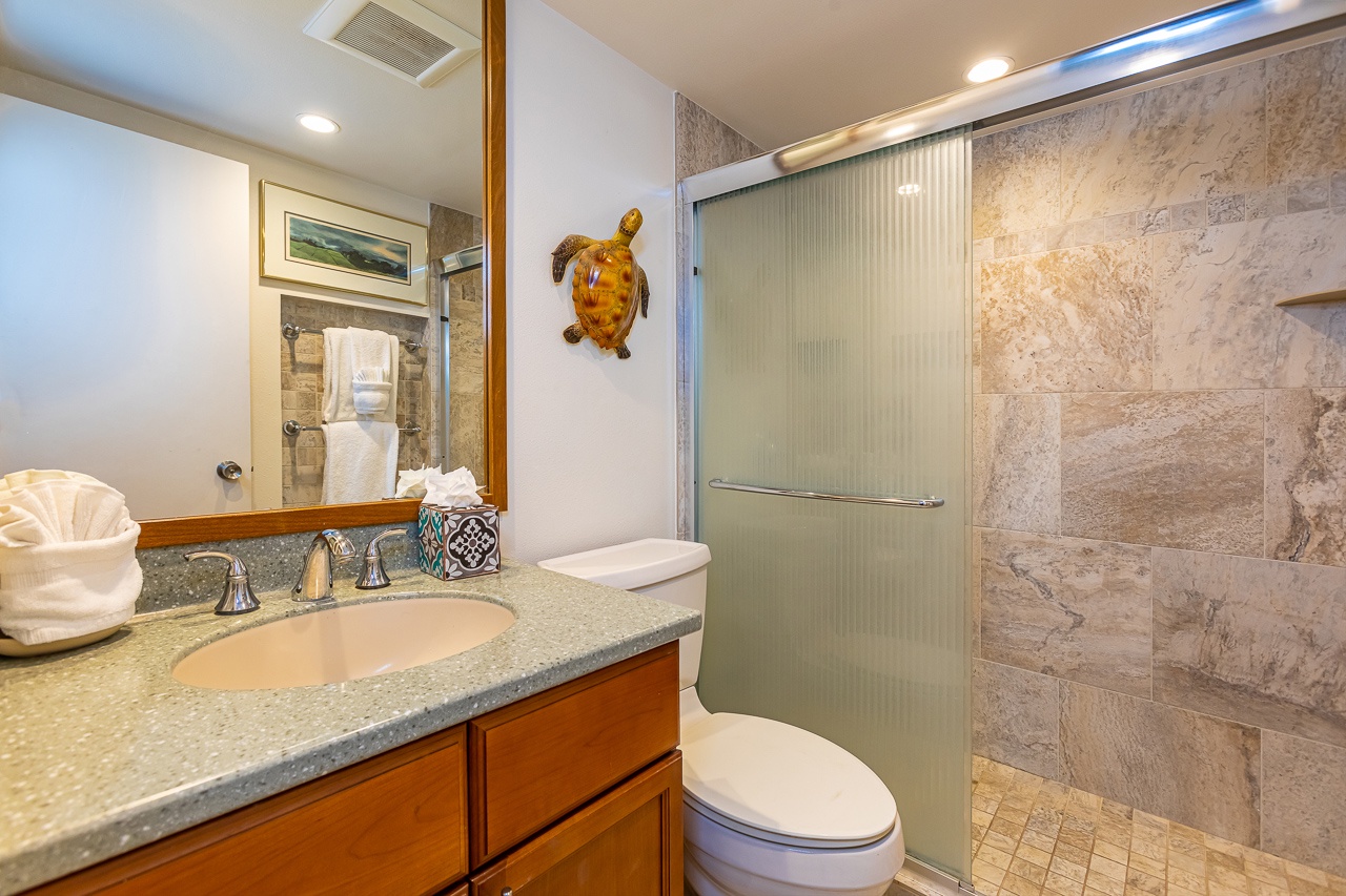 Full size walk in shower with vanity counter and lighting.