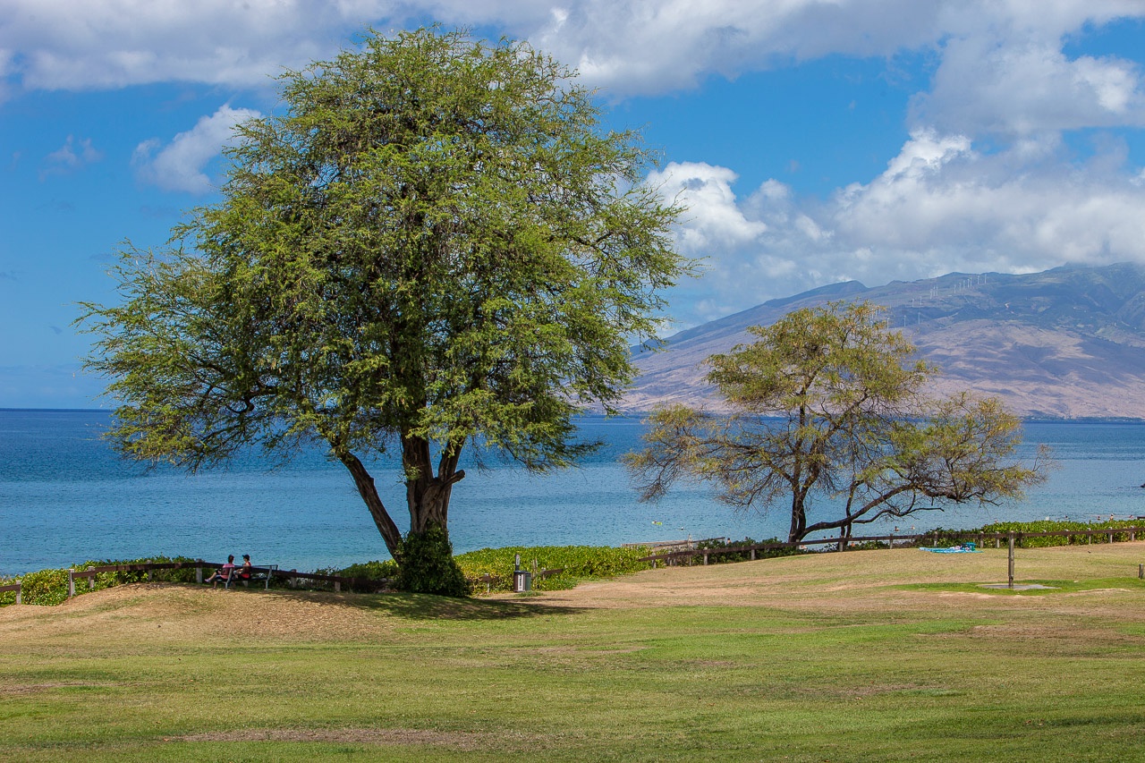 A peaceful coastal park near the property showcases mature shade trees and grassy picnic areas, with ocean waters and mountain terrain visible beyond.