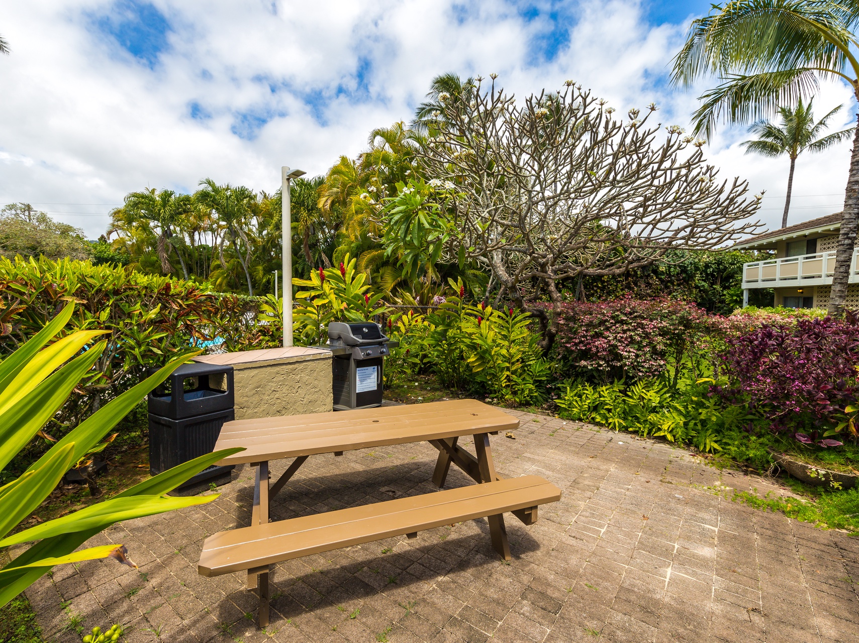 Tropical BBQ area surrounded by lush gardens with palm trees and vibrant plants creates your perfect outdoor dining retreat.