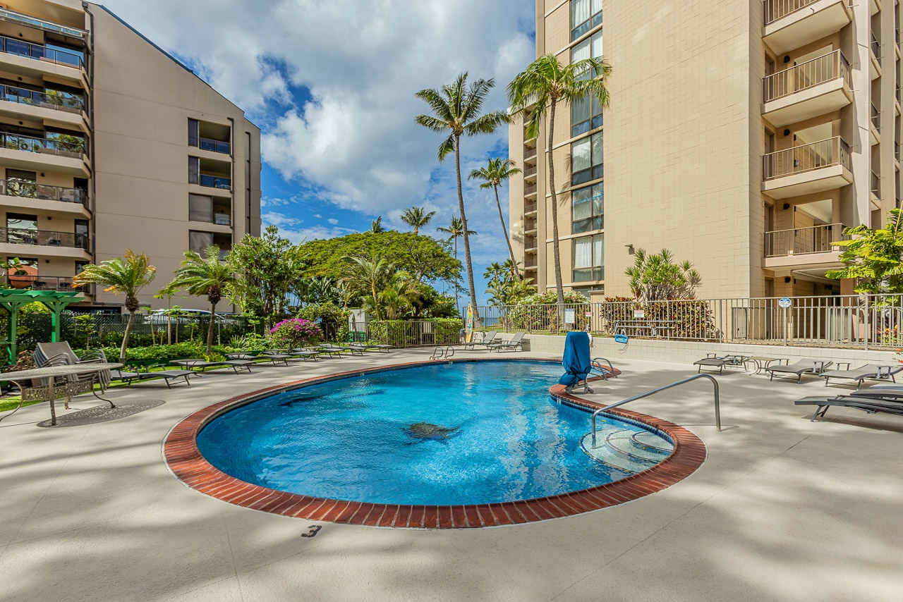 Calm inviting pool area designed for quiet moments or family fun