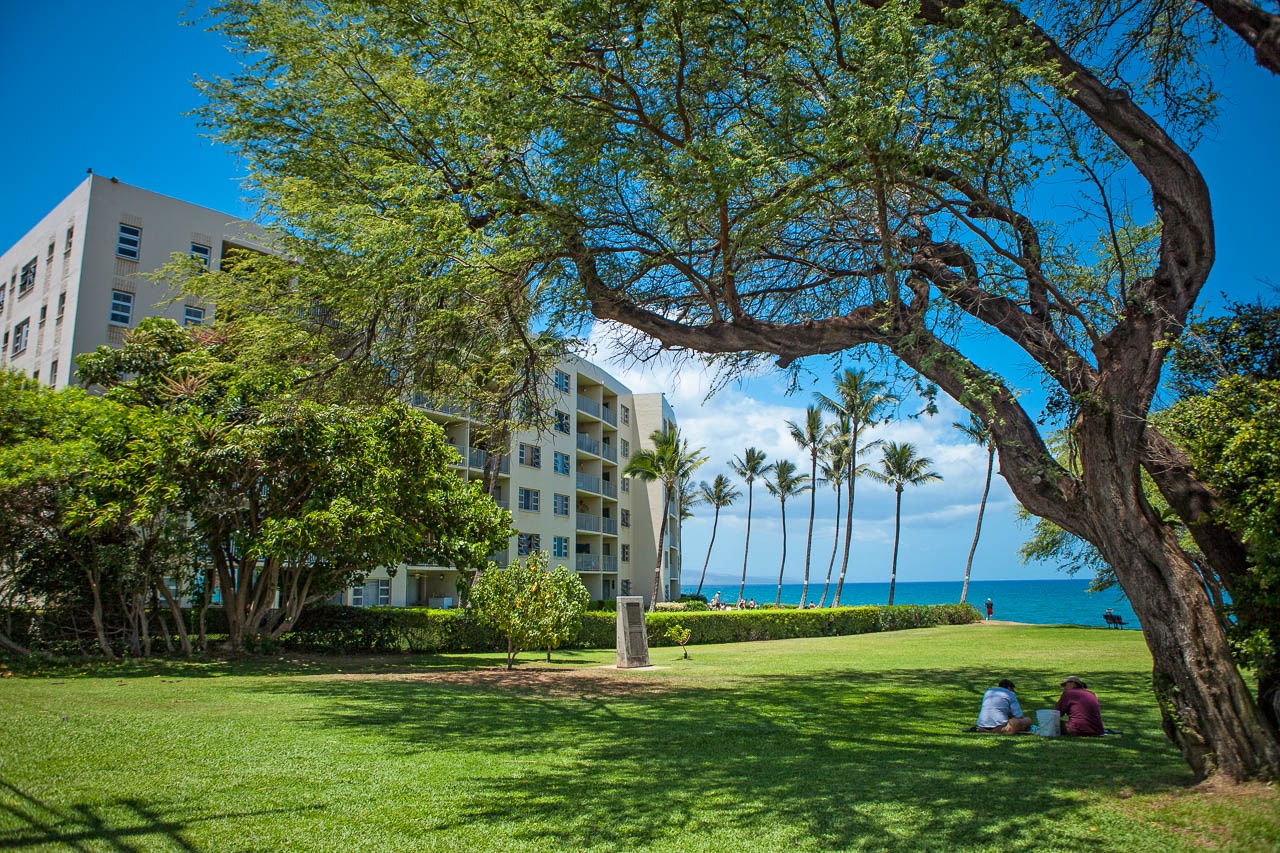 Expansive grassy area with plenty of trees for shade