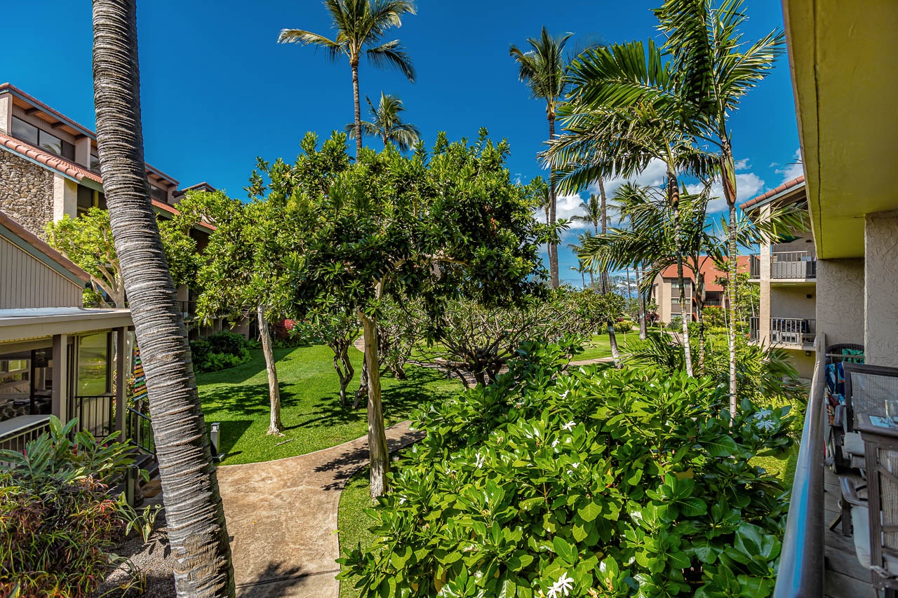 Views of the garden courtyard.