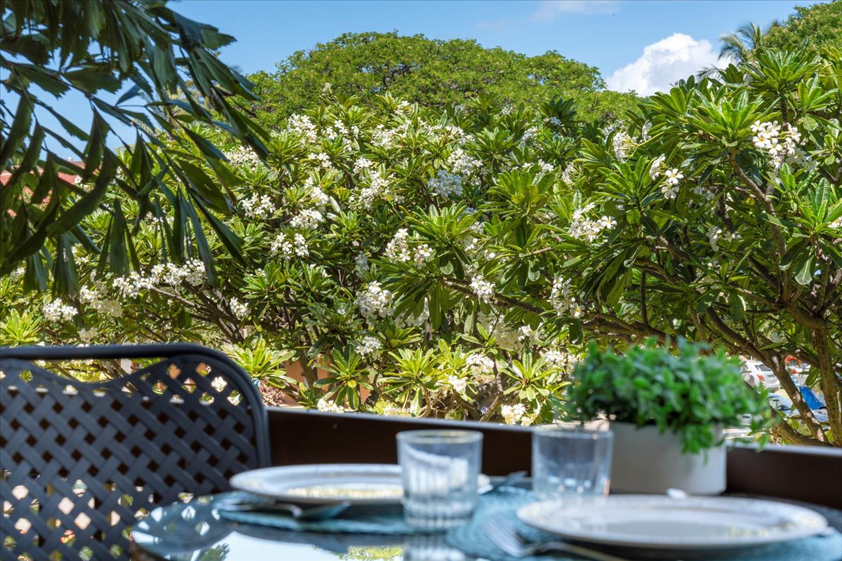 Dine surrounded by lush tropical blooms and towering palms in this serene garden setting, where every meal feels like a peaceful retreat.