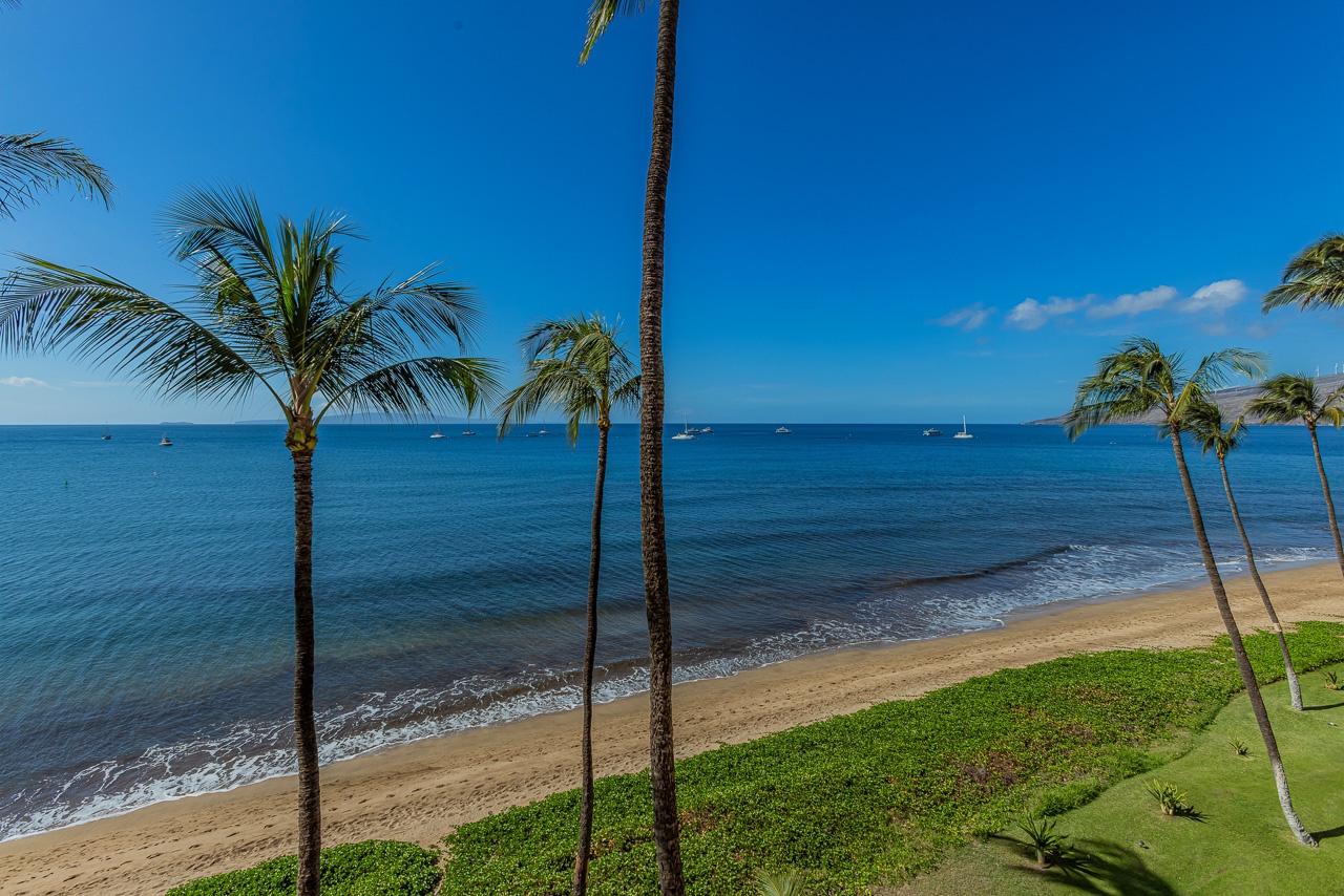 Daytime serenity overlooking the Pacific