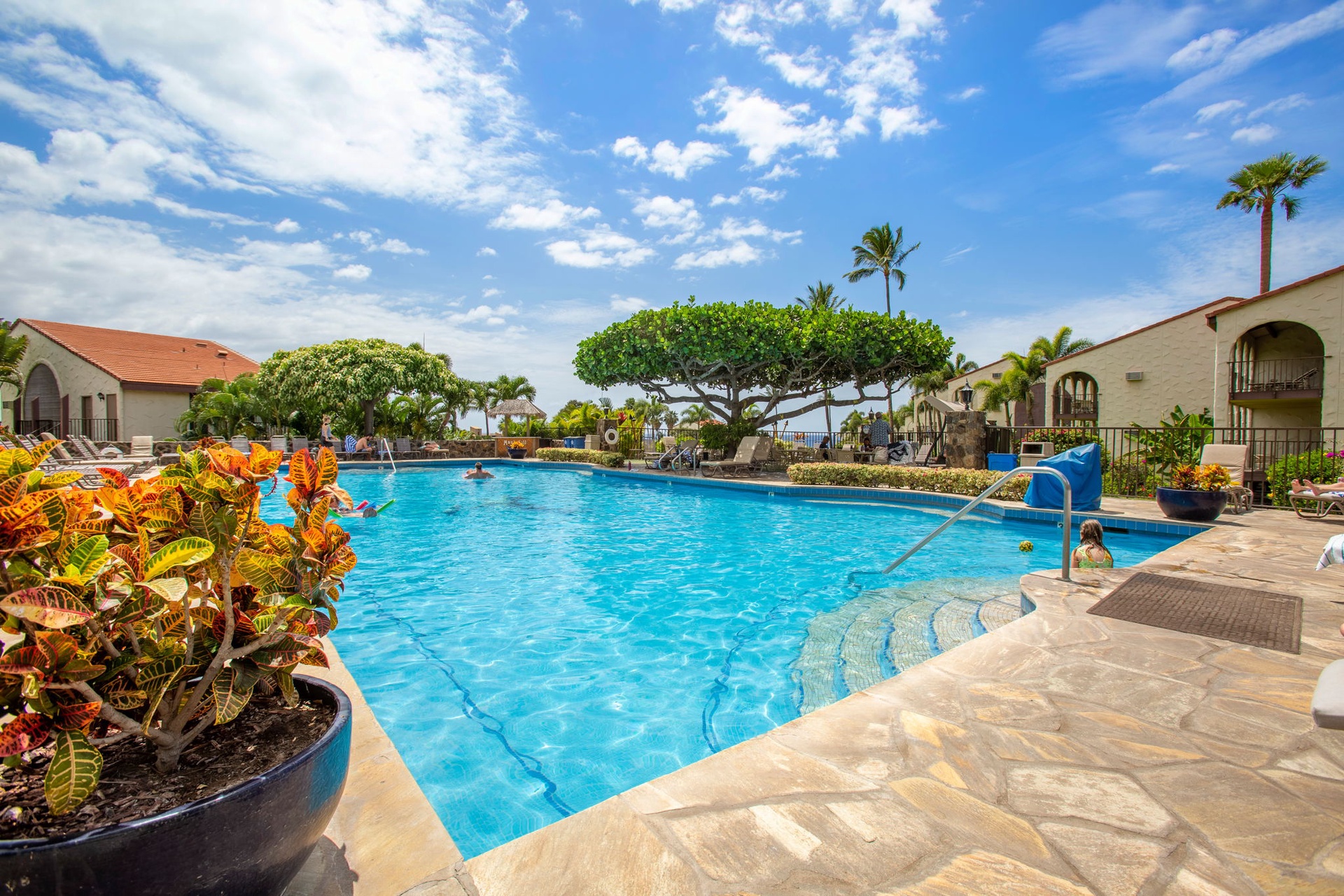 Spend a fun day at the pool