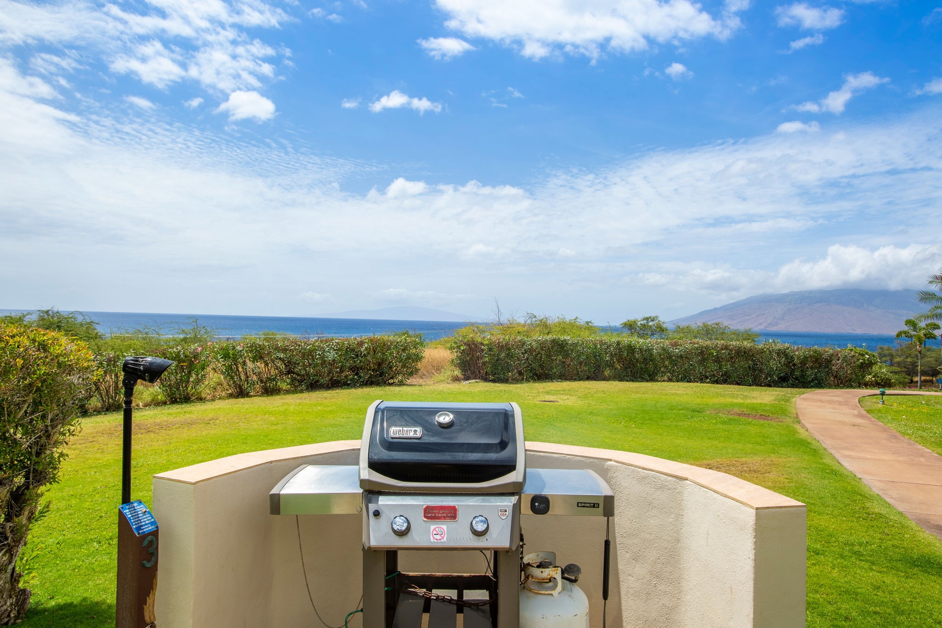 BBQ grill on property
