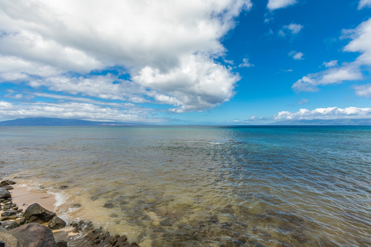 Showcasing the property's scenic beachfront location and natural surroundings.