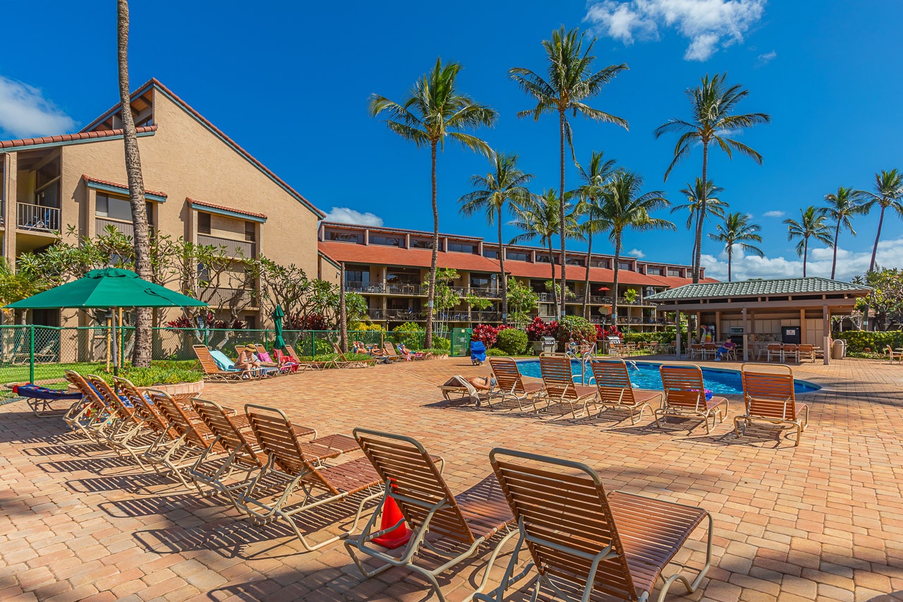 Loungers~ umbrellas and dining areas for use during your stay
