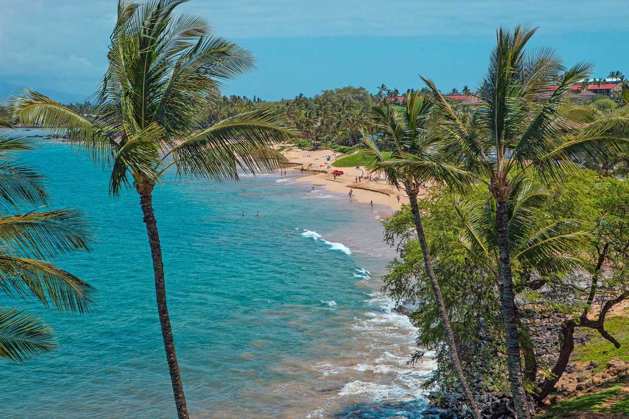 Pristine tropical beach with turquoise waters, swaying palm trees, and golden sand creates the perfect island paradise setting.