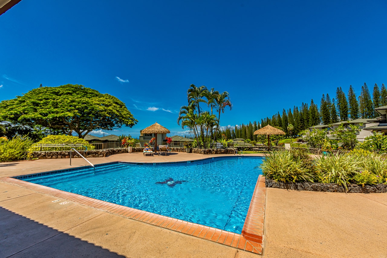 A sparkling pool framed by lush palms and tiki-style umbrellas, bordered by towering pines and vibrant tropical greenery under brilliant blue skies.