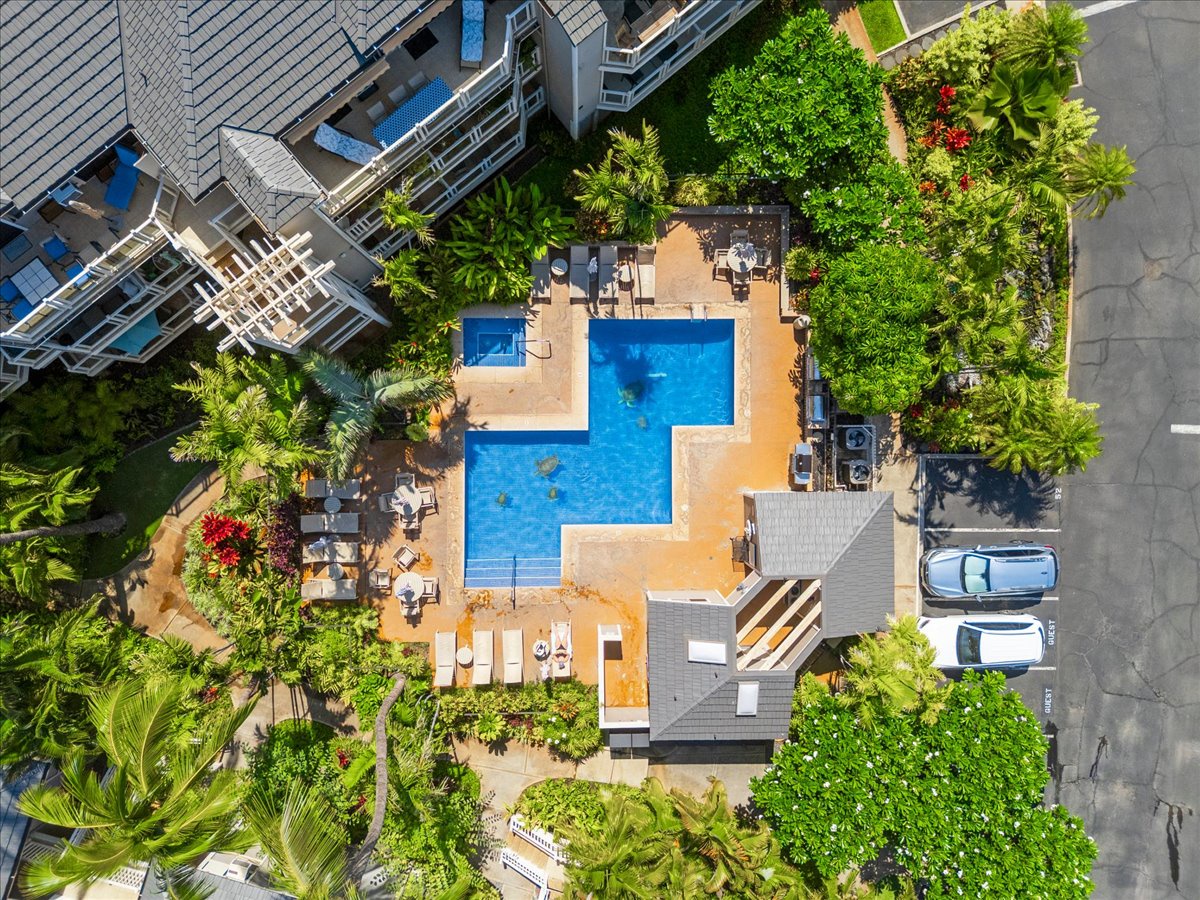 Aerial view captures the property's inviting pool, lush tropical landscaping, and dedicated parking area—nestled in a quiet residential neighborhood.