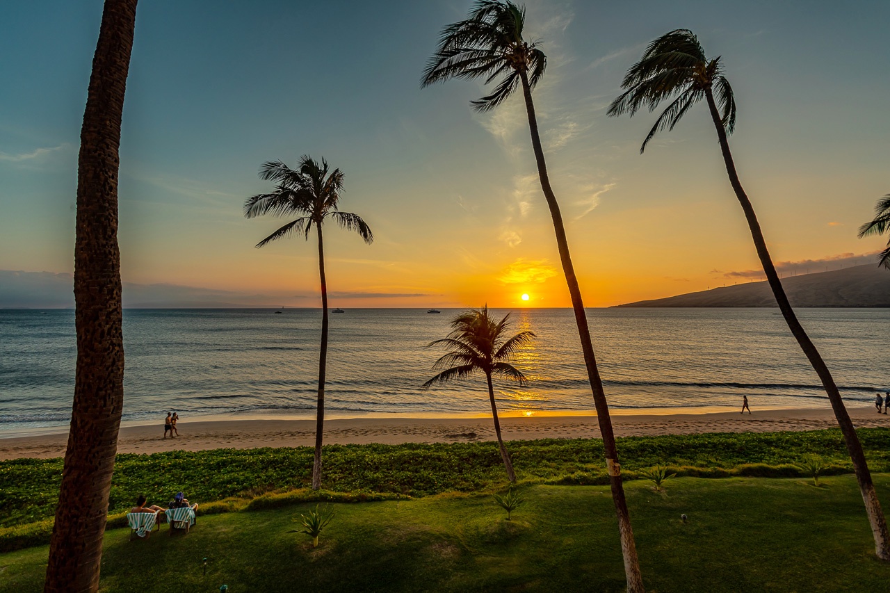 Watch the sun dip below the Pacific behind tall palms
