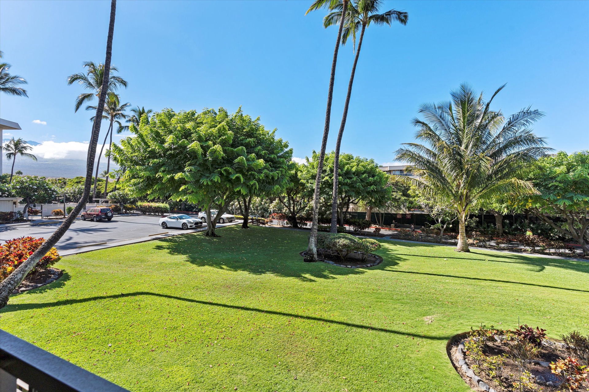 A tropical garden setting with lush greenery and palm trees forms the picturesque outdoor space, with parking and access just beyond the manicured lawn.