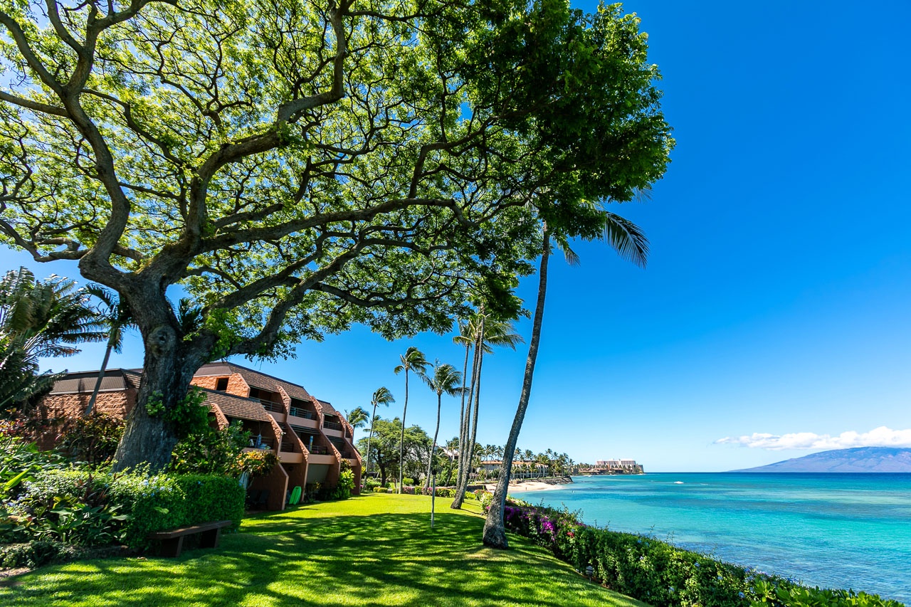 Oceanfront property surrounded by tropical palms and lush lawns, with stunning turquoise waters and island views visible from the grounds.