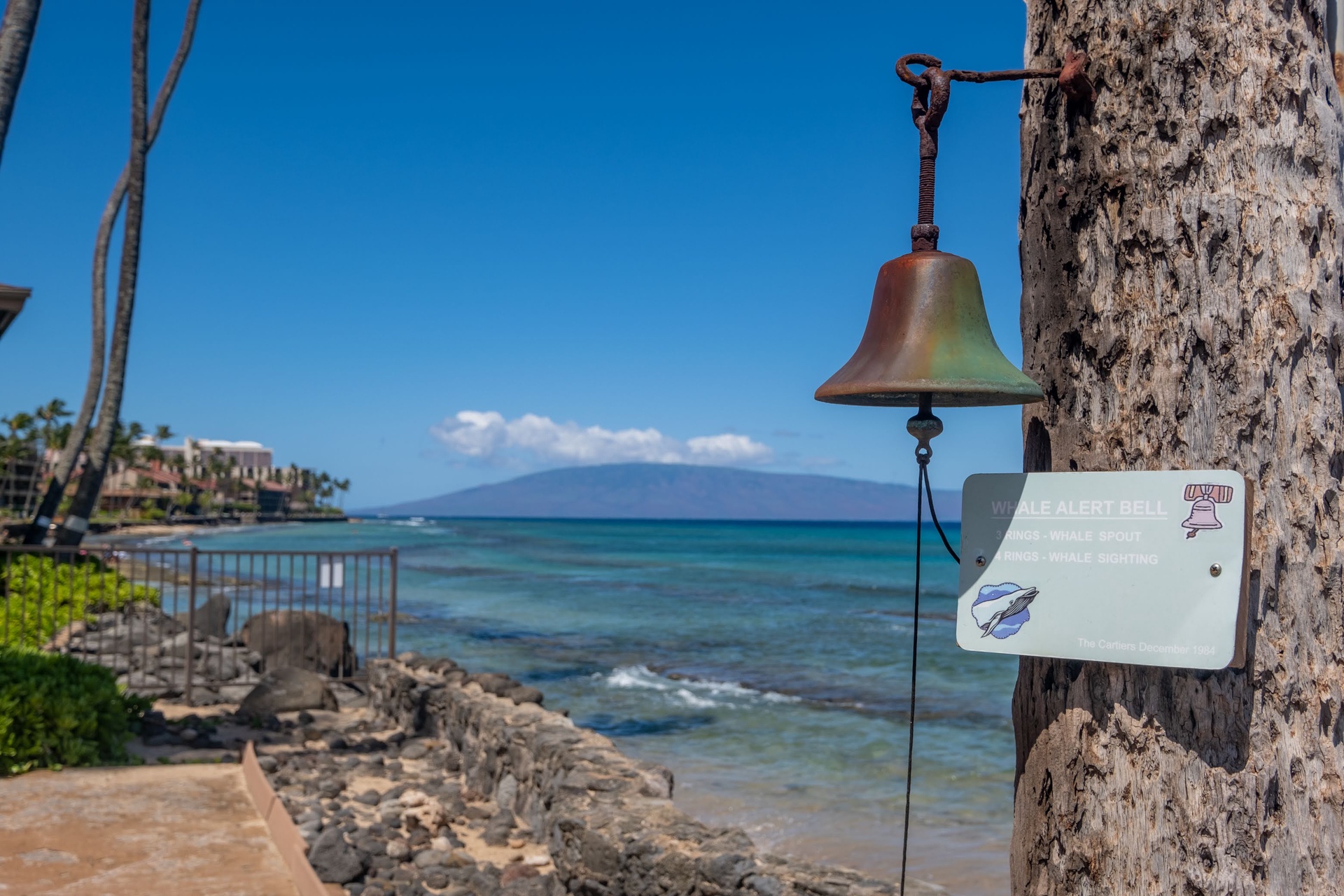 Scenic beachfront location with whale alert bell.