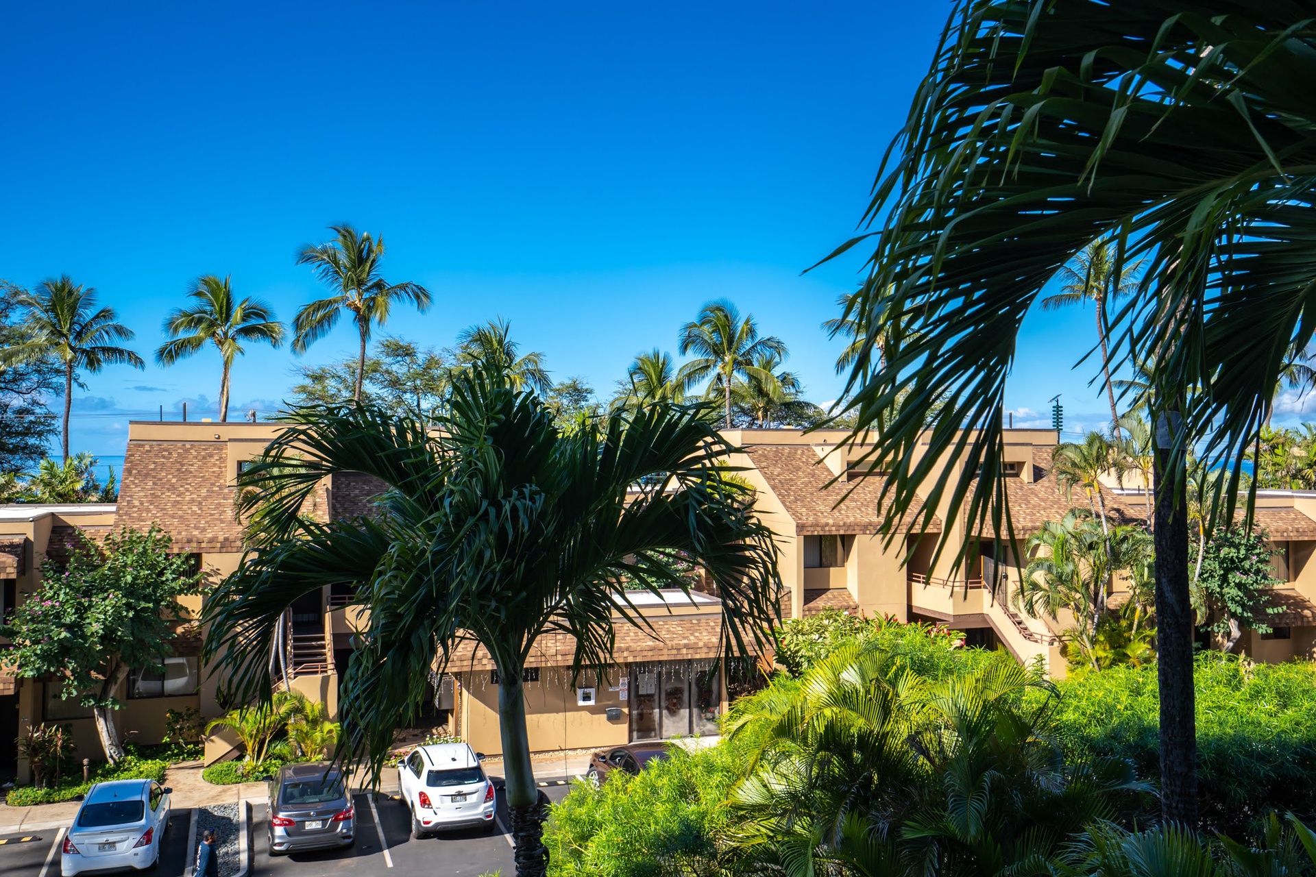 Tropical resort exterior framed by palm trees and lush landscaping under a clear blue Hawaiian sky, with parking areas nestled amid the greenery.