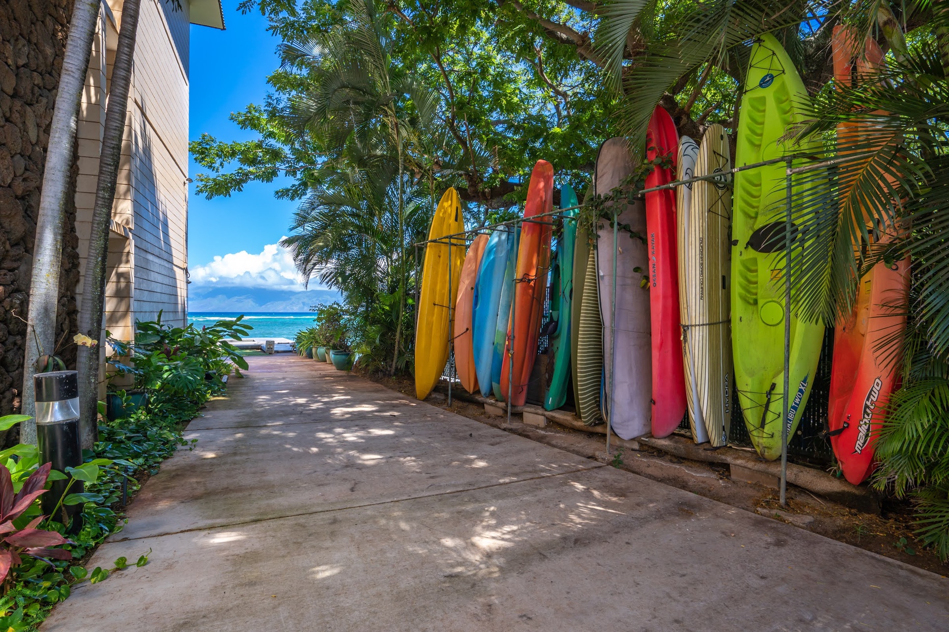 A tropical pathway leads toward the ocean.