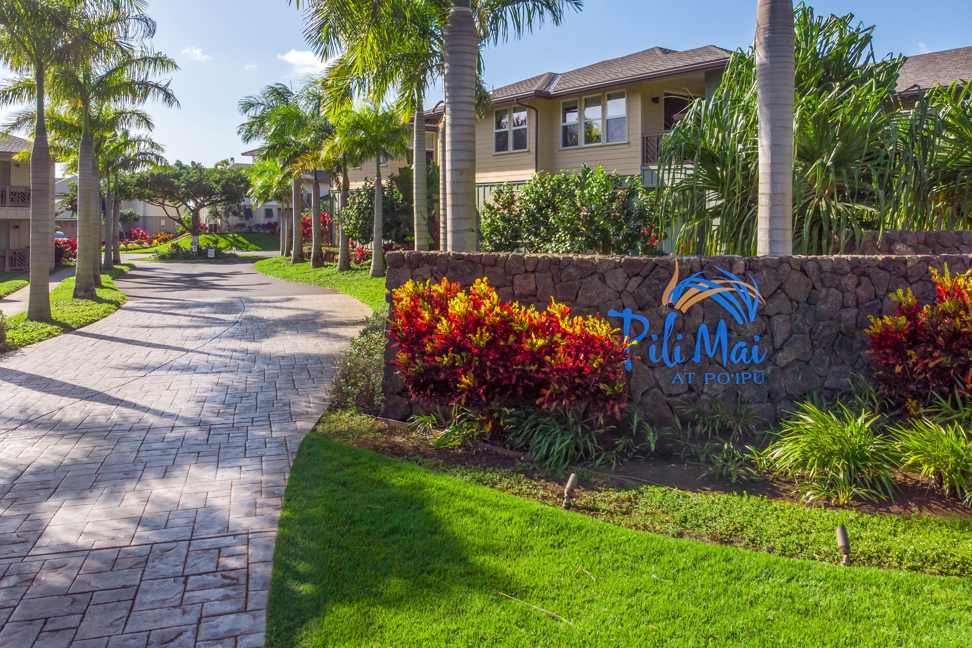 Welcome to Pili Mai!