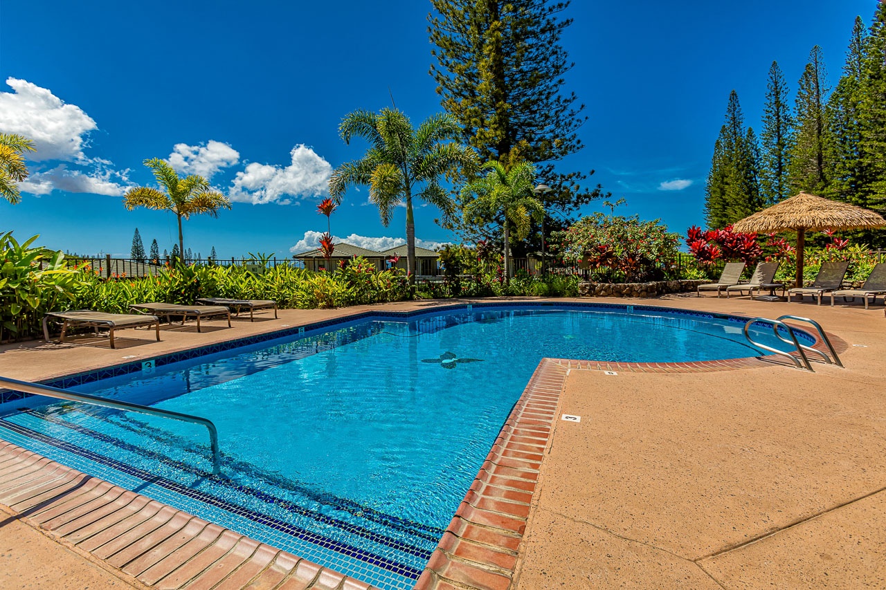 Dive into crystal-clear waters surrounded by lush tropical gardens and swaying palms—your perfect poolside paradise awaits under brilliant blue skies.