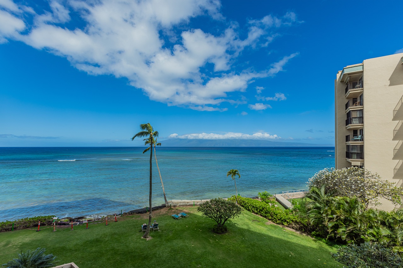 Oceanfront property with palm trees and direct beach access