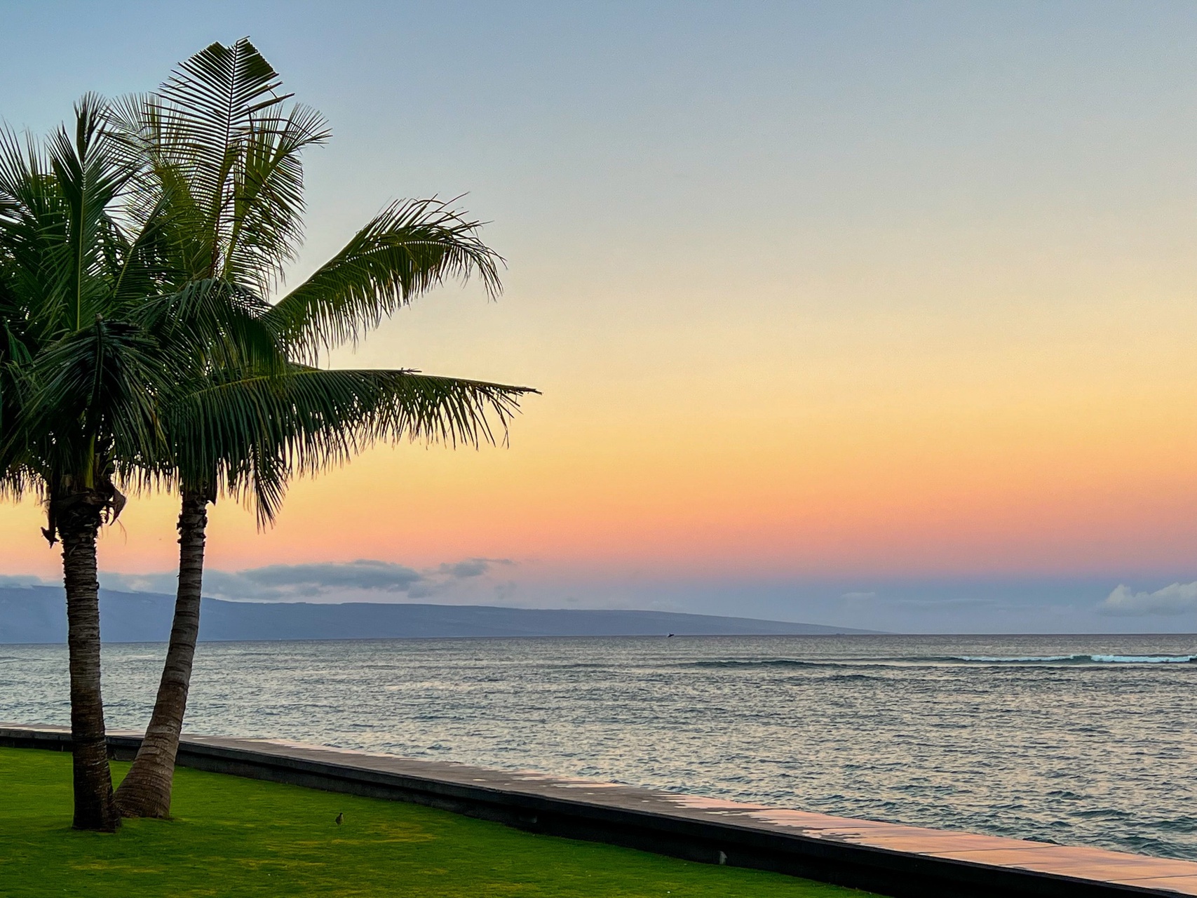 Stunning sunset view over calm waters framed by swaying palms, creating a peaceful tropical backdrop for your island escape.