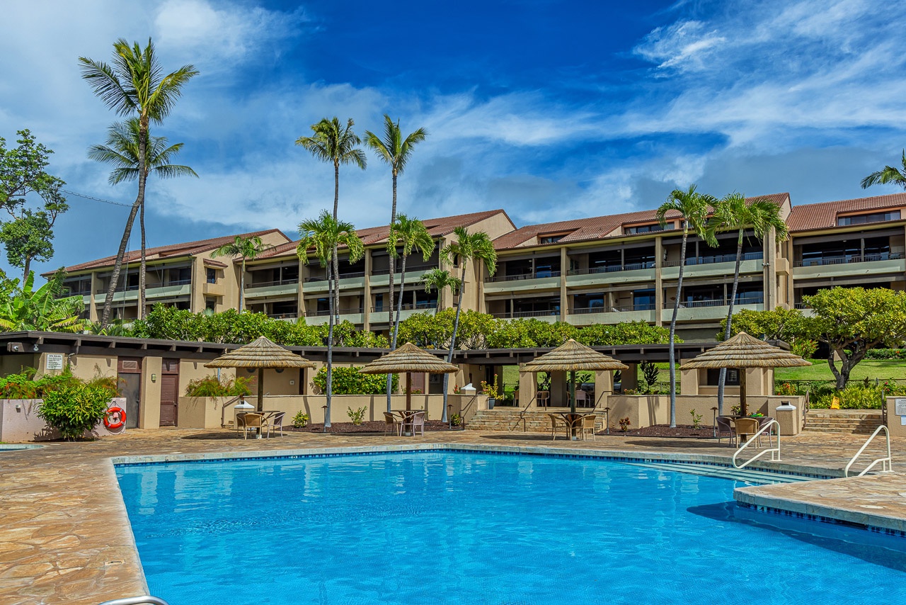 A tropical-inspired resort property with a sparkling swimming pool and multiple thatched cabanas surrounded by swaying palms and lush landscaping.