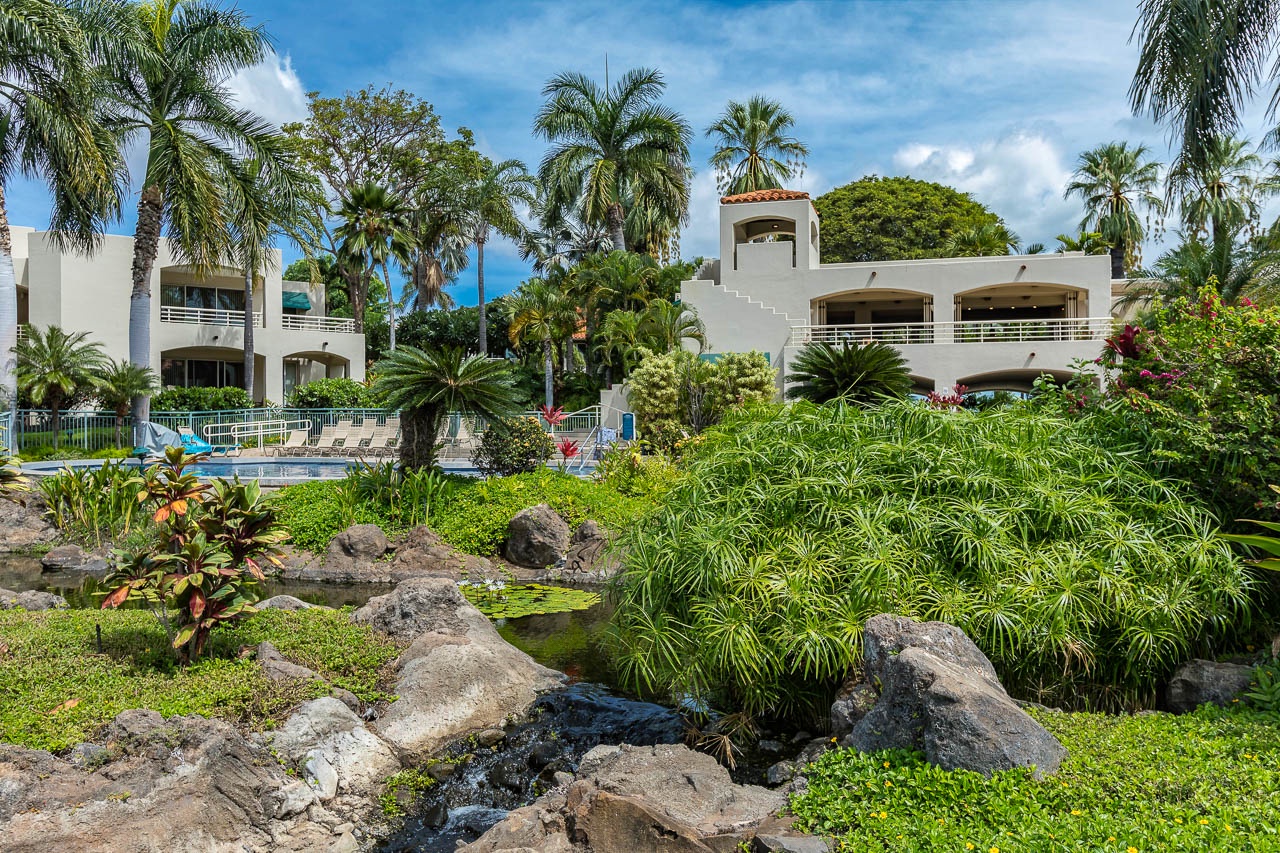 A tranquil property set amid lush tropical gardens, featuring a natural water feature with stone accents and abundant palm trees throughout the grounds.