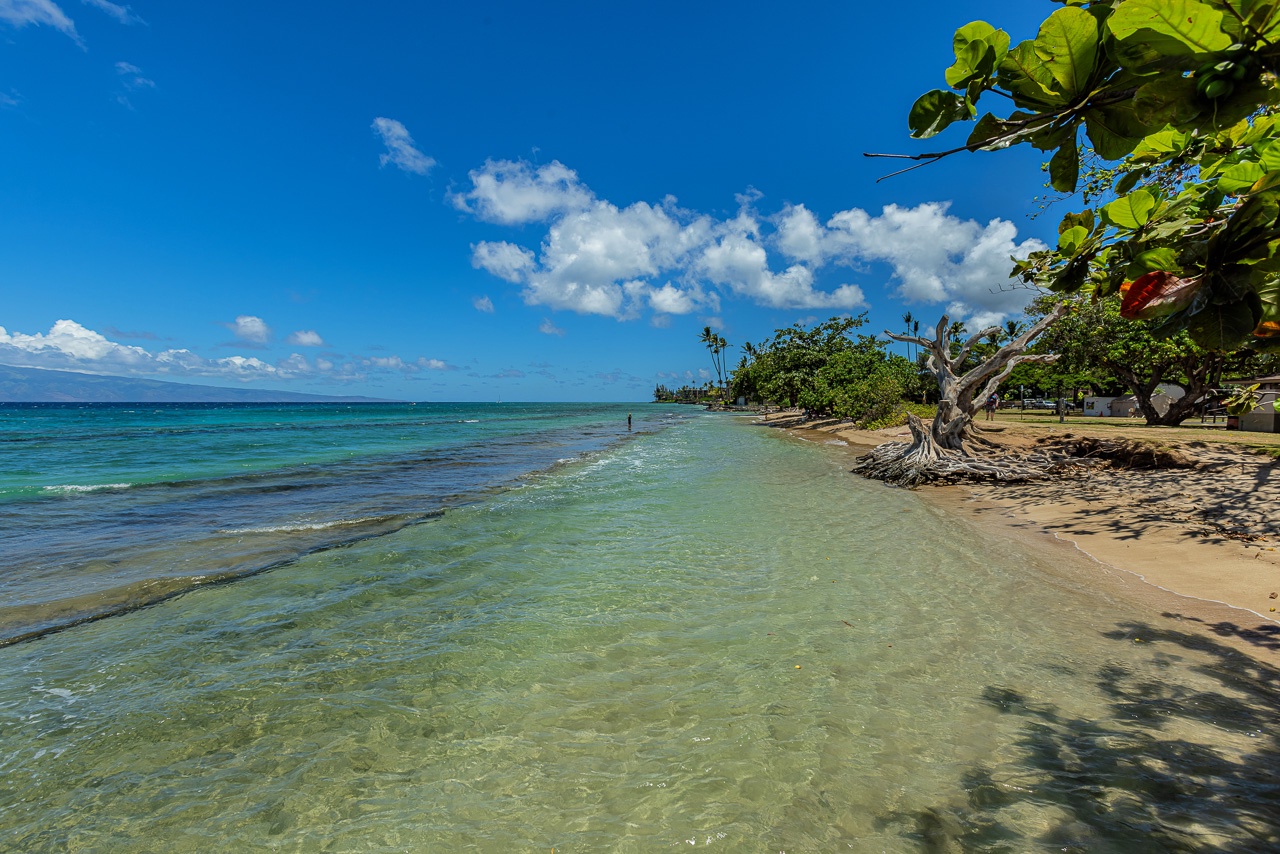 Pristine beachfront location where turquoise waters meet golden sand, framed by lush coastal trees and endless blue skies—a tranquil tropical escape.