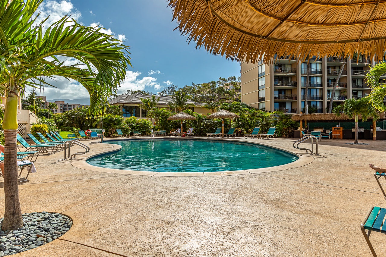 A sparkling pool framed by tropical palms and thatched umbrellas invites you to unwind under sunny skies, with comfortable loungers ready for your perfect poolside afternoon.