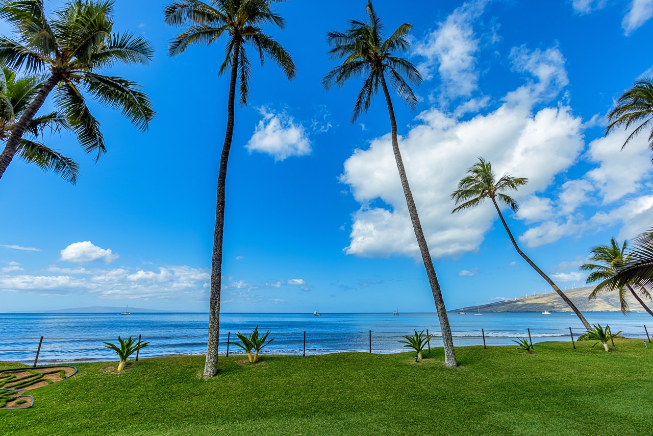 Serene surroundings enhance your beachfront escape