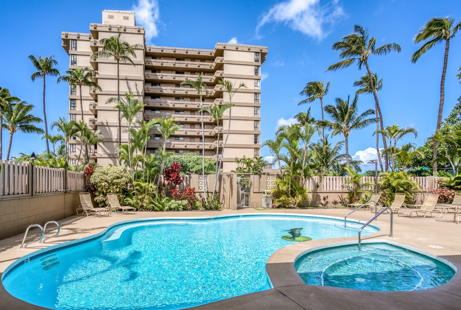 A tropical oasis awaits with a sparkling pool and hot tub nestled beneath swaying palms and blue skies.