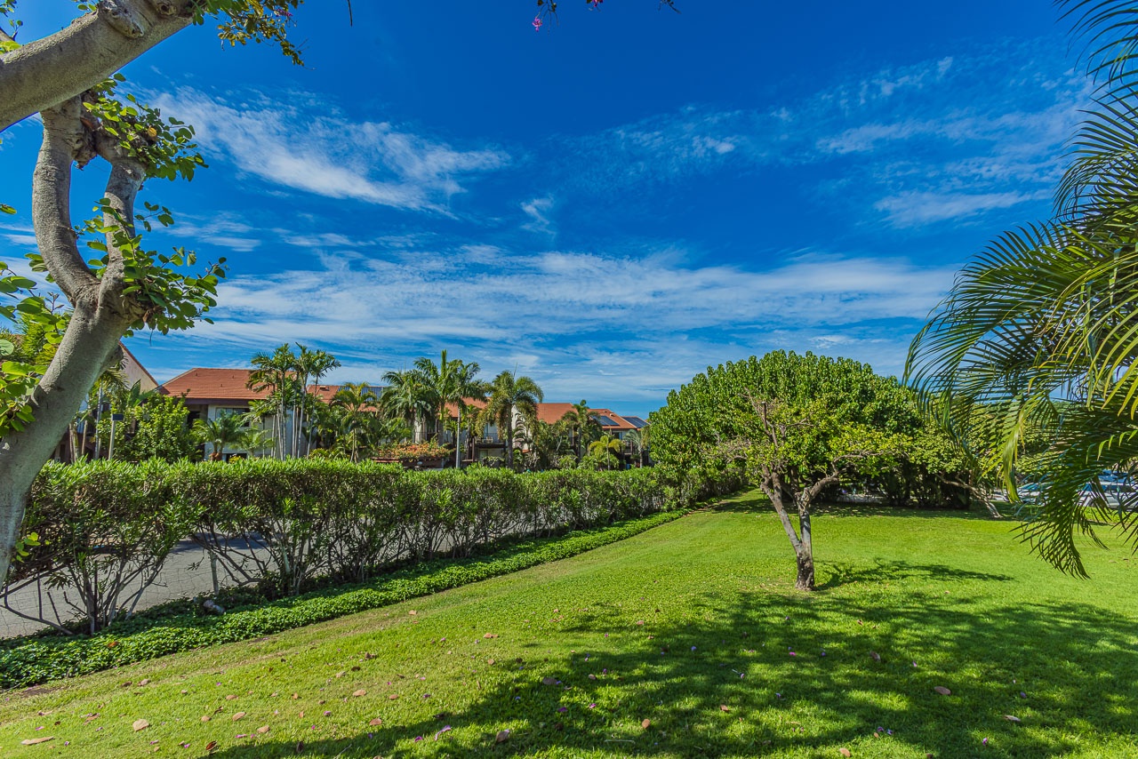 Tropical landscaping surrounds the property with palm trees and manicured lawns under clear blue skies.