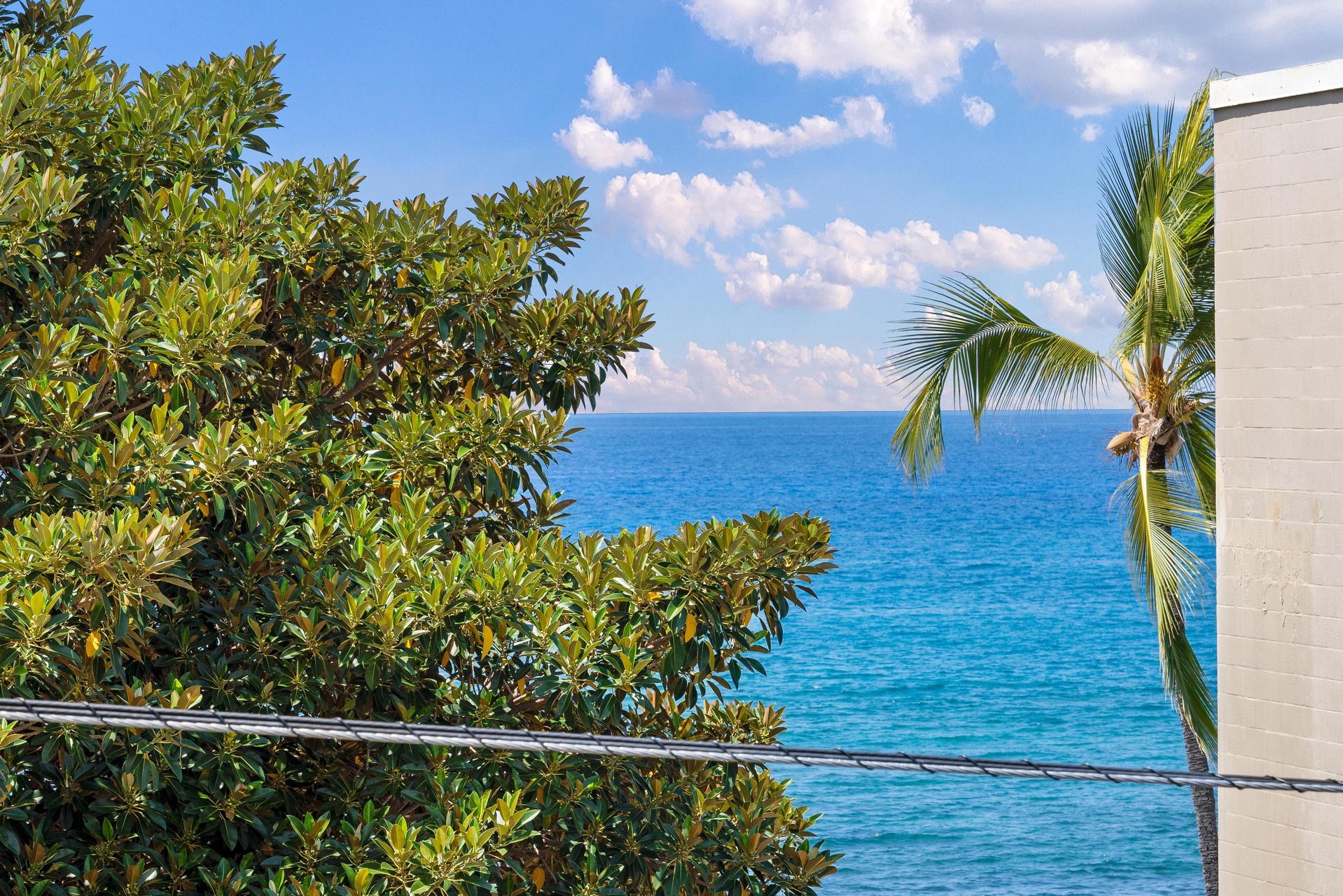 Property located along a stunning tropical coastline, featuring vibrant foliage and serene ocean views framed by swaying palms and bright blue skies.