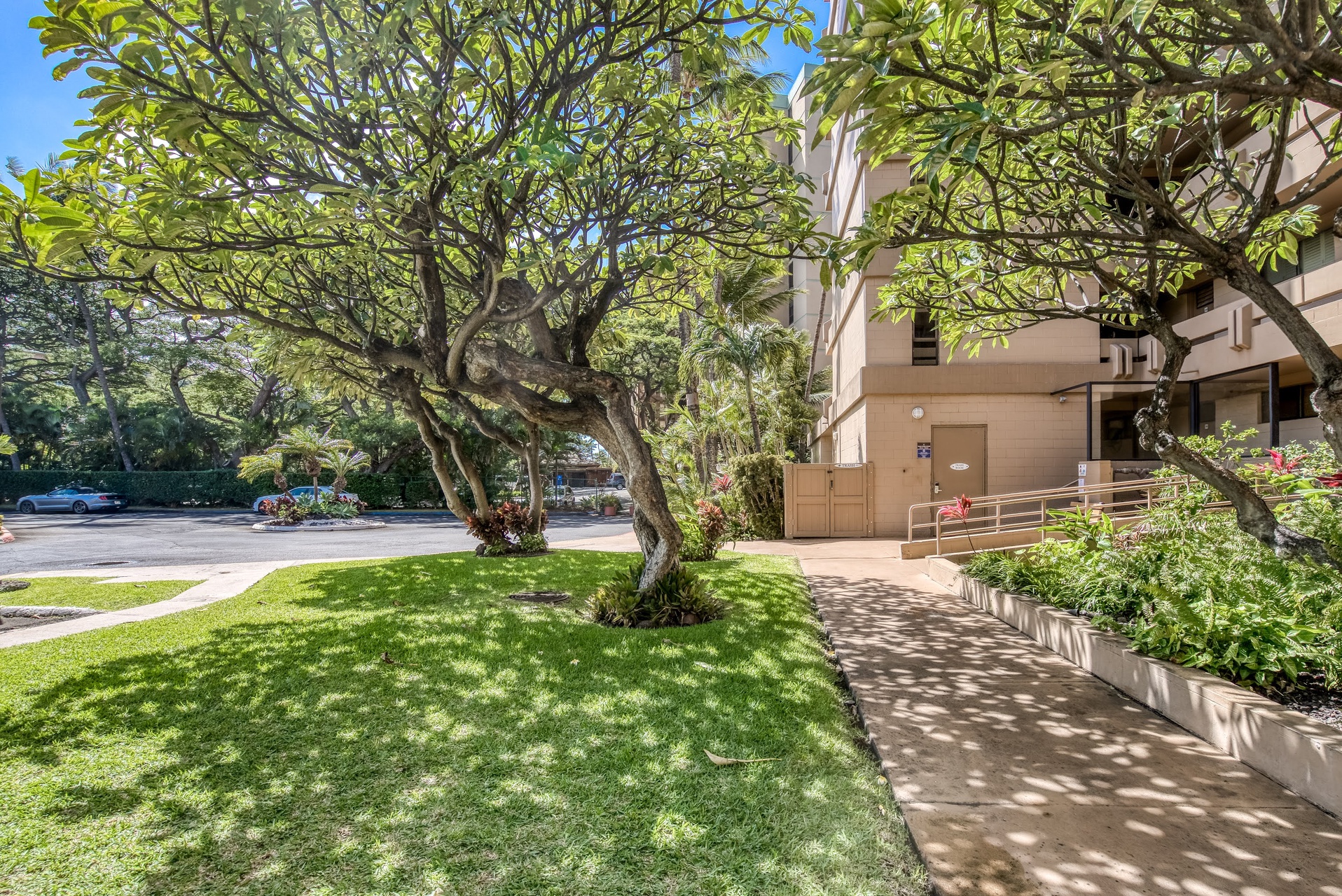 A well-maintained lawn and tropical foliage create an inviting arrival experience.