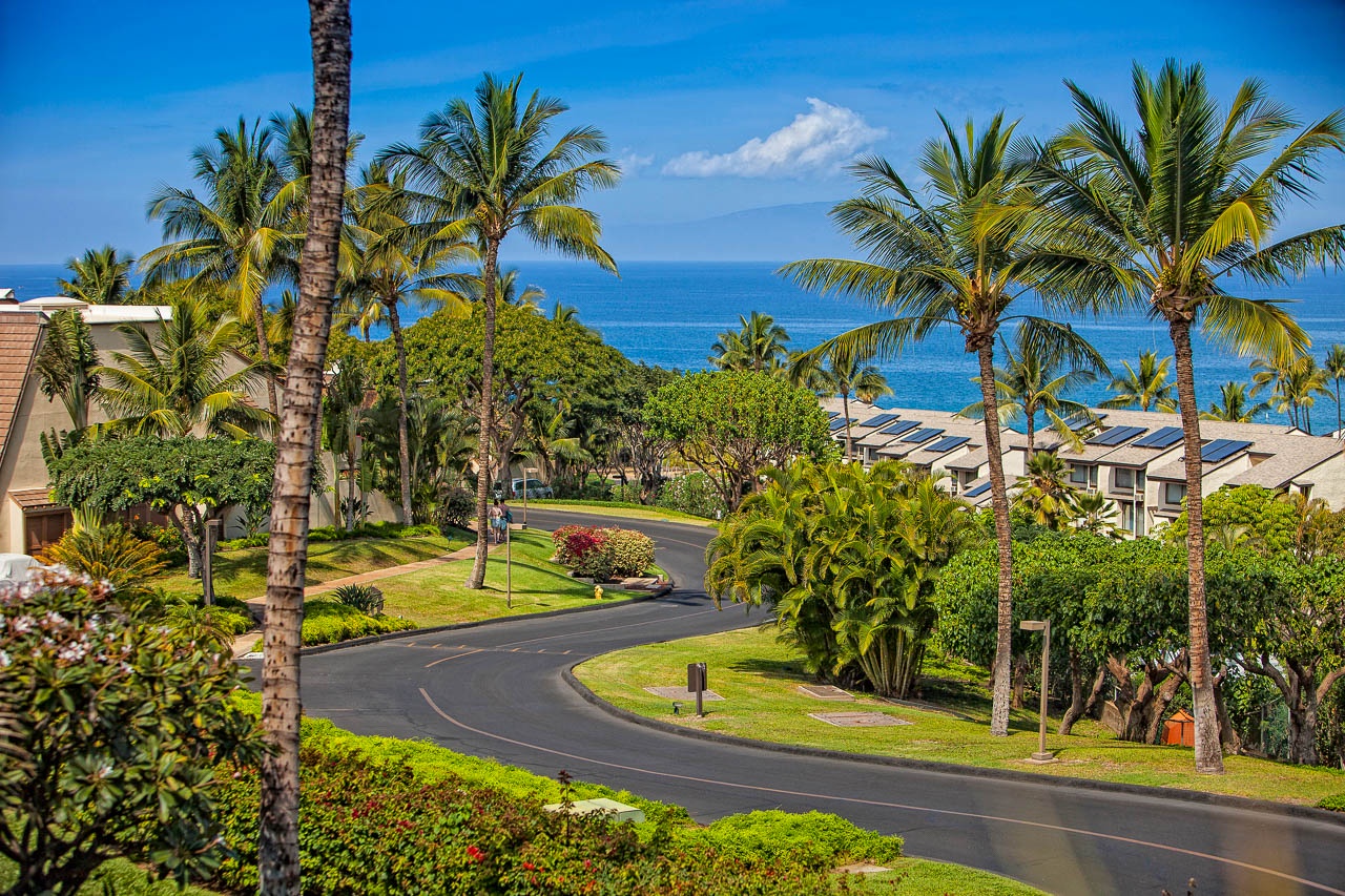 Tropical paradise setting with palm-lined road leading to stunning ocean views.